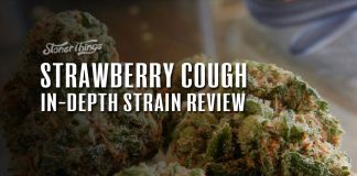 strawberry cough strain review