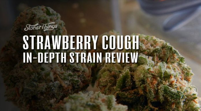 strawberry cough strain review