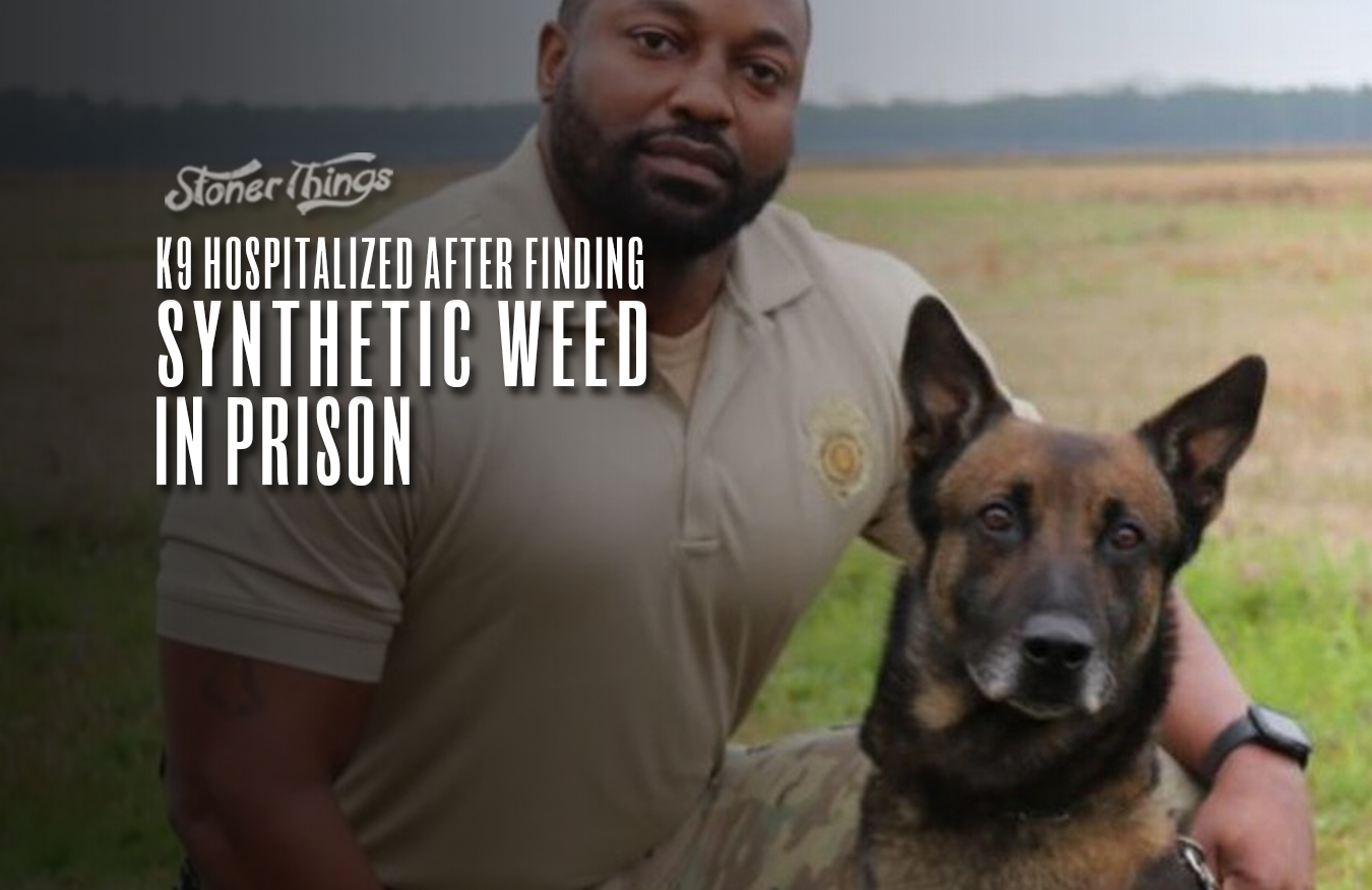 K9 hospitalized after finding synthetic weed prison