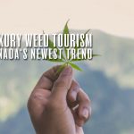 luxury weed tourism canada