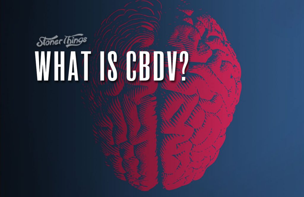 What Is The CBDV (Cannabidivarin) Cannabinoid and What Effect Does It Have? - Stoner Things