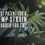 first us patent hemp strain charlottes web cb2
