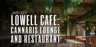 lowell cafe cannabis lounge