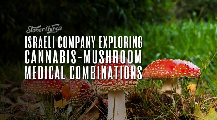 cannatech cannabis mushroom medical combination
