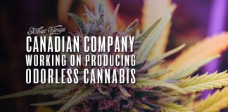 odorless cannabis canadian company