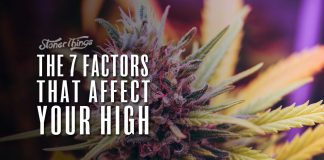 factors affect cannabis high