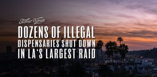 la illegal dispensary raid
