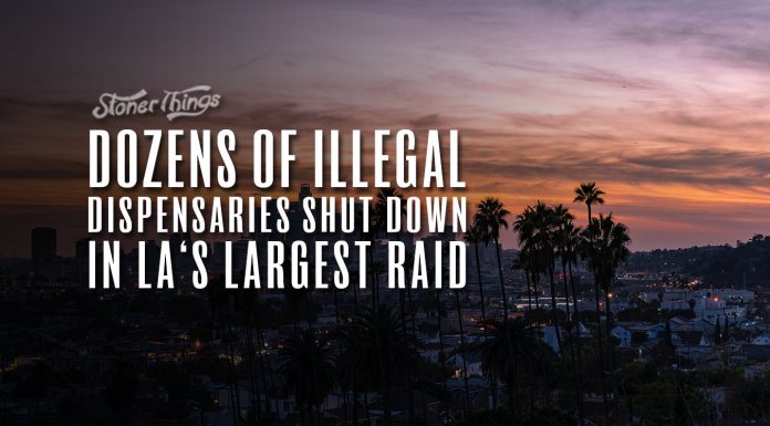 la illegal dispensary raid