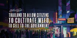 thailand allow marijuana cultivation sell to government