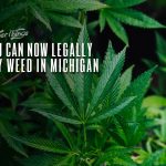 weed now legal michigan