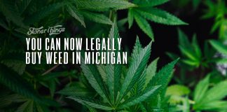 weed now legal michigan