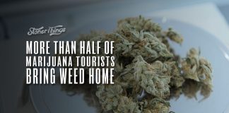 more than half marijuana tourists bring weed home