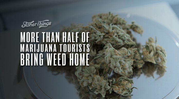 more than half marijuana tourists bring weed home