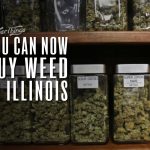 weed legal illinois