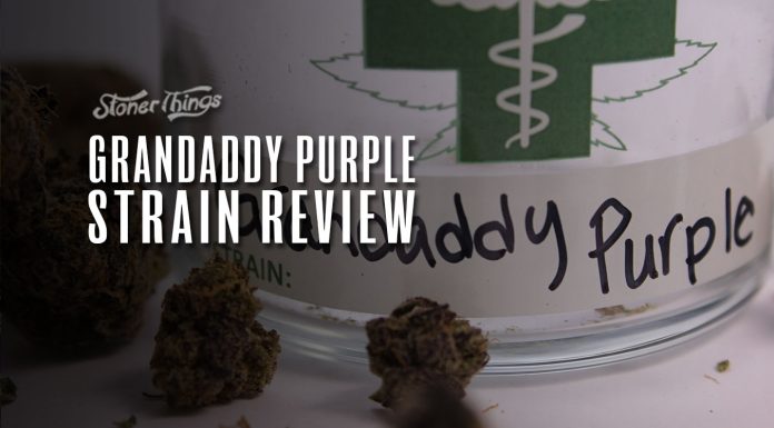 grandaddy purple strain review
