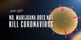 marijuana kill coronavirus