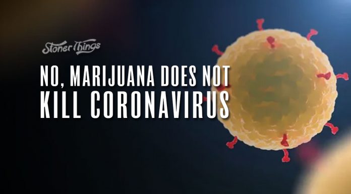 marijuana kill coronavirus