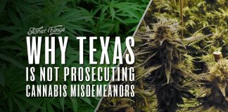 why texas not prosecuting marijuana misdemeanors