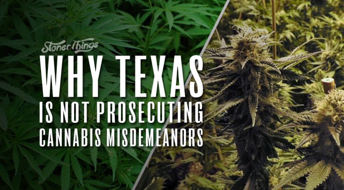 why texas not prosecuting marijuana misdemeanors