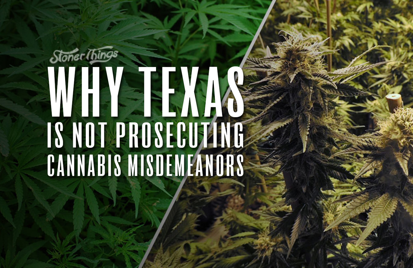why texas not prosecuting marijuana misdemeanors