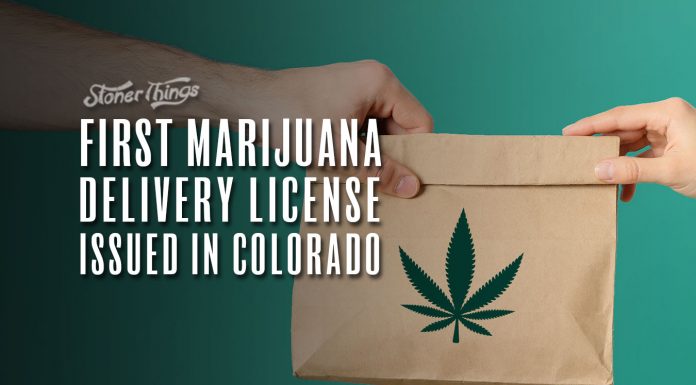 marijuana delivery license issued colorado