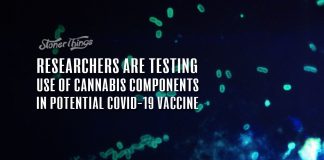 Cannabis Components COVID 19 Vaccine