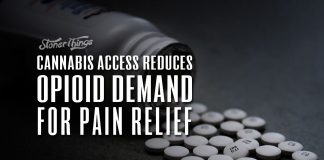 cannabis access reduces opioid demand pain patients