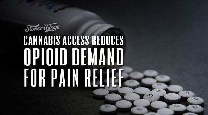 cannabis access reduces opioid demand pain patients