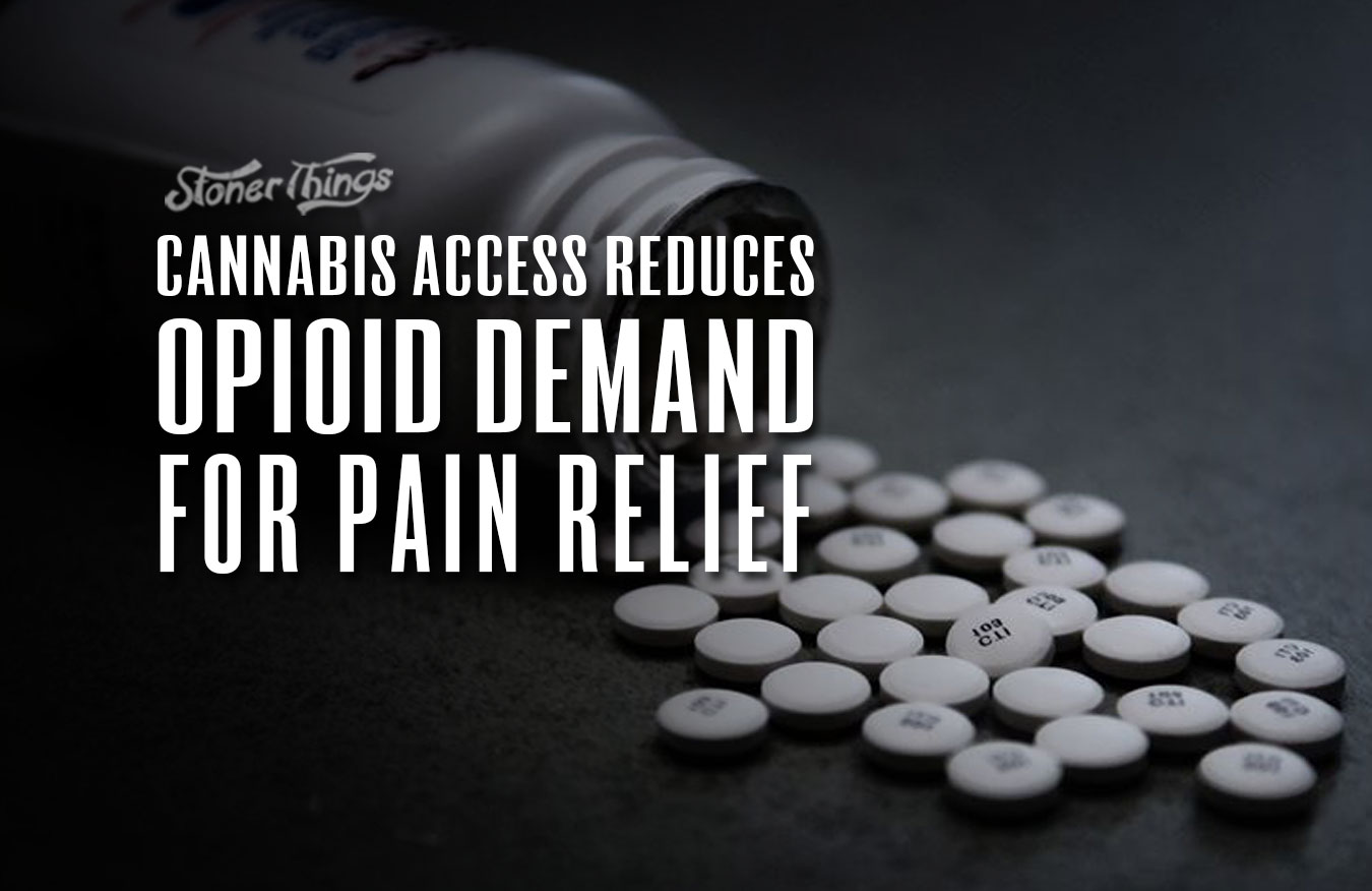 cannabis access reduces opioid demand pain patients