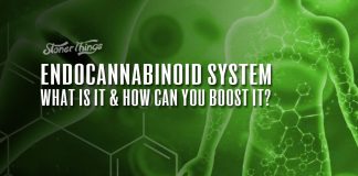 endocannabinoid system