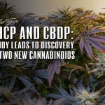 THCP CBDP New Cannabinoids Discovered