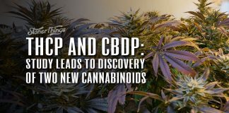 THCP CBDP New Cannabinoids Discovered