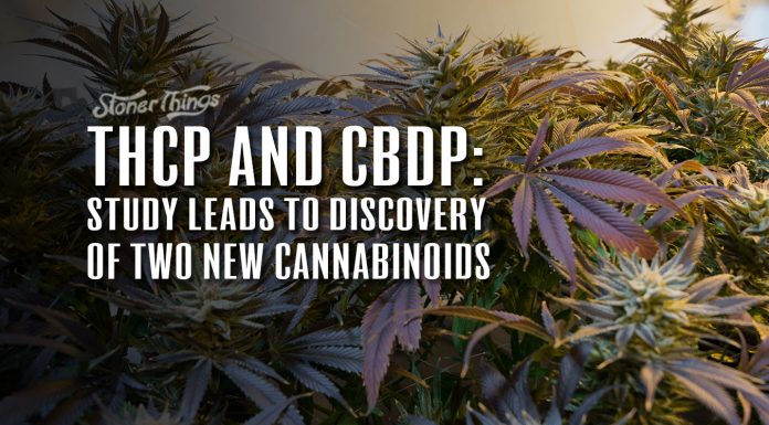 THCP CBDP New Cannabinoids Discovered