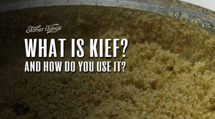What is kief