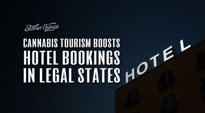 cannabis tourism increases hotel bookings