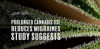 cannabis use prevents migraines
