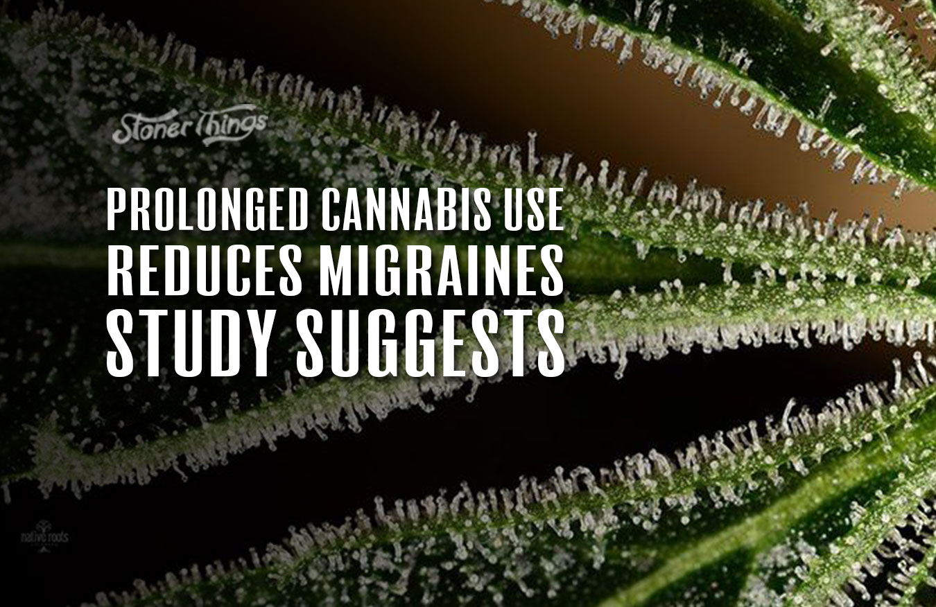 cannabis use prevents migraines