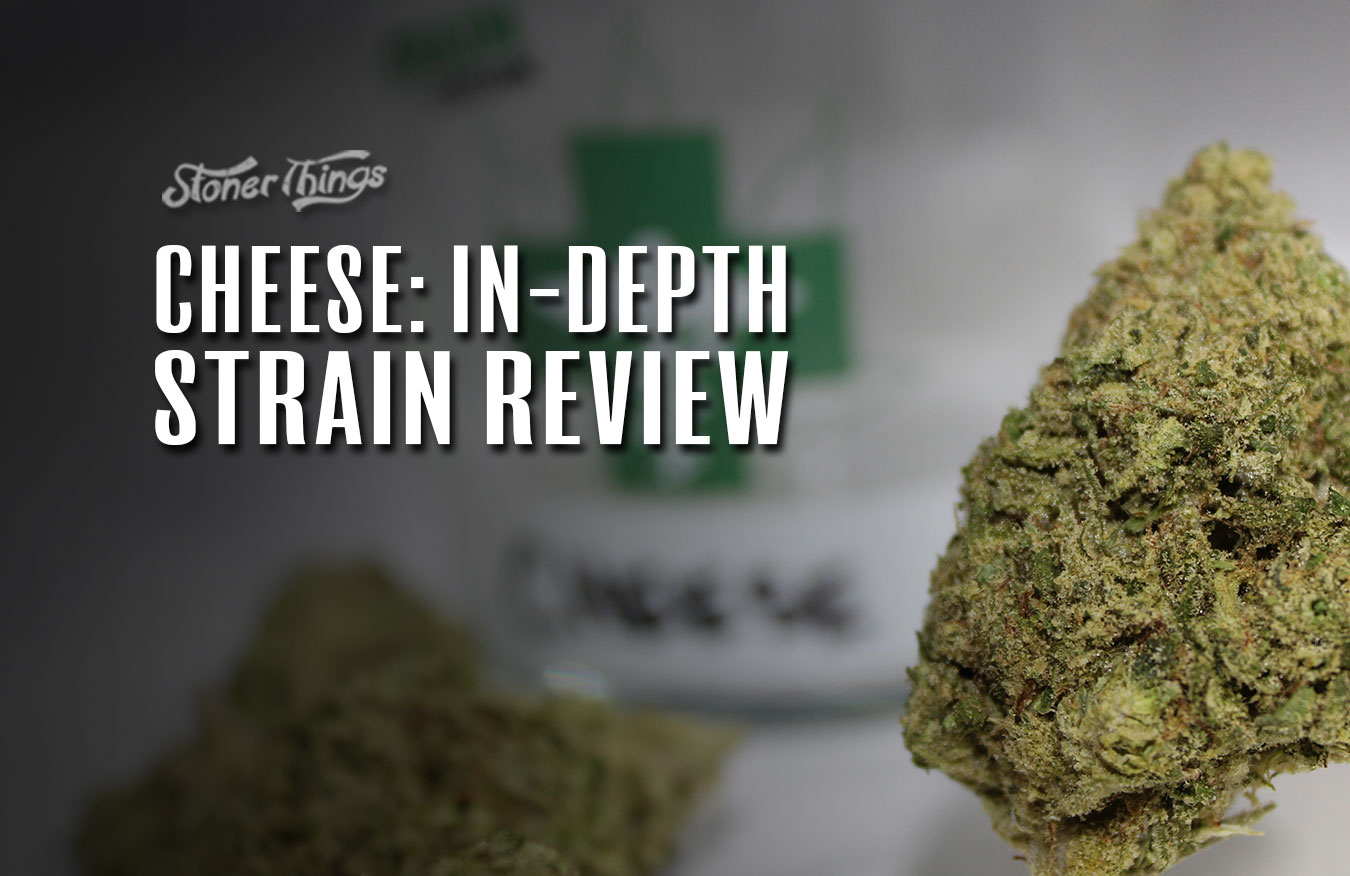 cheese strain review detailed