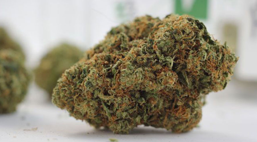 Tahoe Strain Marijuana Review