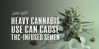 cannabis use thc semen