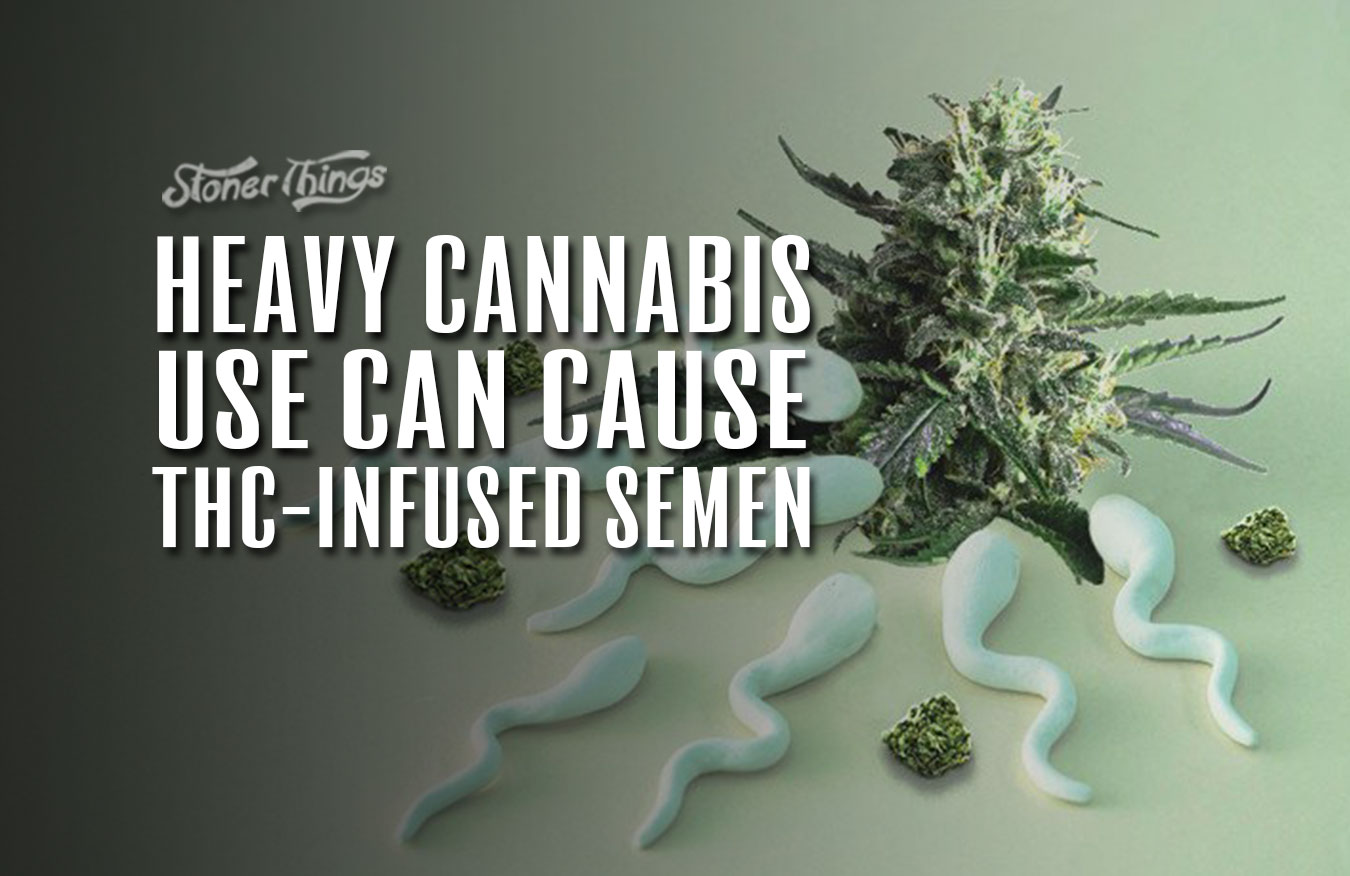 cannabis use thc semen