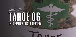 tahoe og strain review