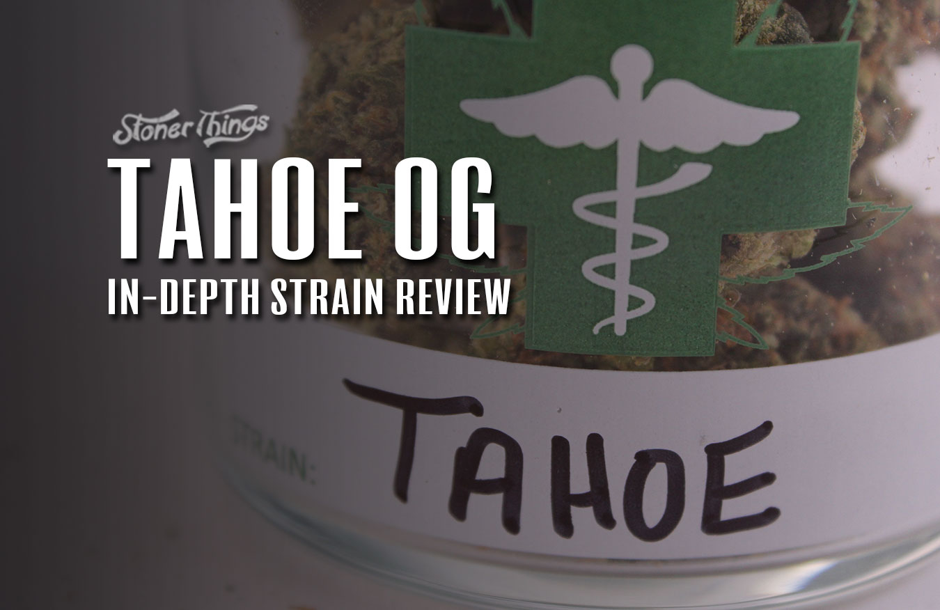 tahoe og strain review