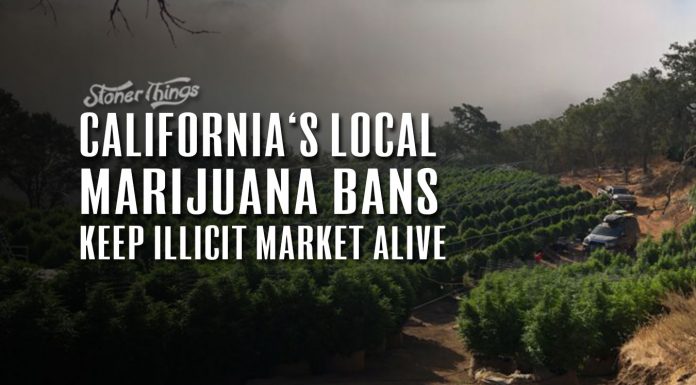 california local marijuana bans keep illicit market alive