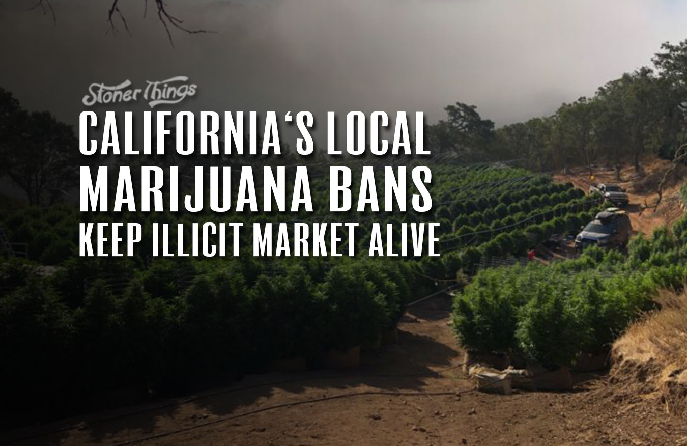 california local marijuana bans keep illicit market alive