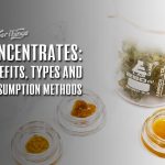 dabs cannabis concentrates