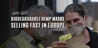 biodegradable face masks geochanvre