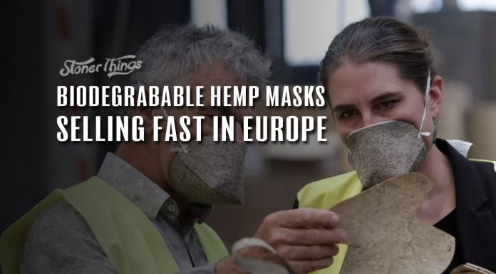 biodegradable face masks geochanvre