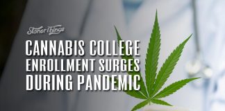 cannabis college enrollment surges pandemic