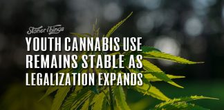 youth cannabis use remains stable as legalizaton expands